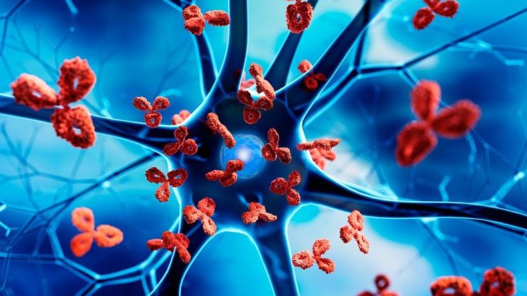 Nerve cell with blue background attacked by red antibodies - 3D illustration of autoimmune disease
