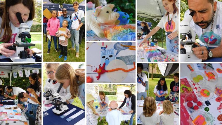 collage of different activities run during the Science in the Park 2023 montage