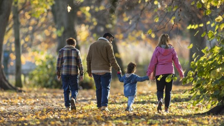 Family of four members walking at a park
