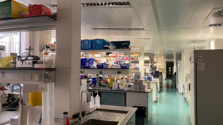 Inside of a laboratory